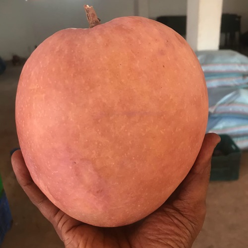 2kg