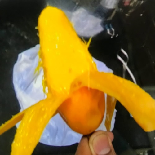 ice