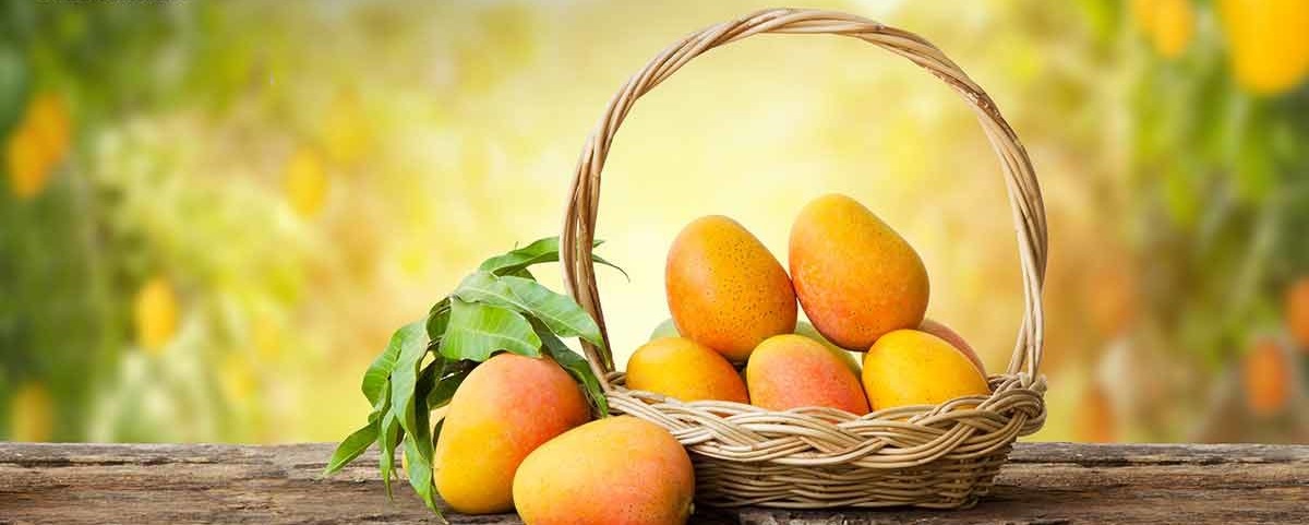 mango8